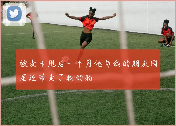 被麦卡甩后一个月他与我的朋友同居还带走了我的狗