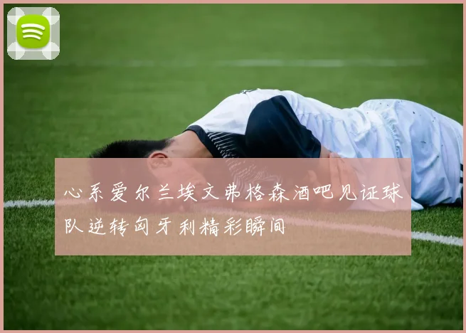 心系爱尔兰埃文弗格森酒吧见证球队逆转匈牙利精彩瞬间
