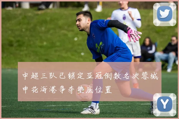 中超三队已锁定亚冠倒数名次蓉城申花海港争夺垫底位置