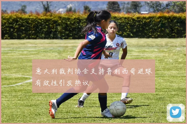 意大利裁判协会支持普利西奇进球有效性引发热议
