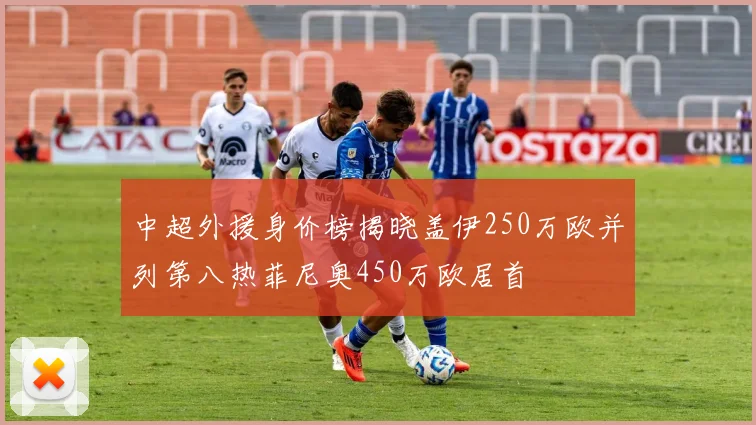 中超外援身价榜揭晓盖伊250万欧并列第八热菲尼奥450万欧居首