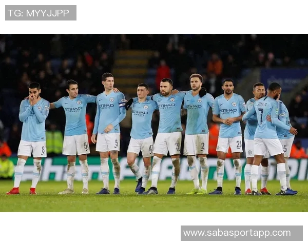 纽卡斯尔本赛季表现分析：联赛低迷与欧冠战绩对比探讨